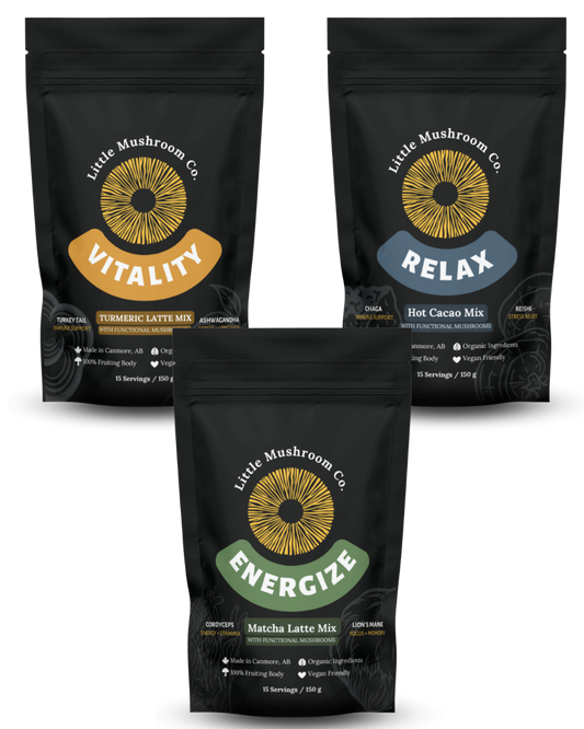 The Daily Ritual Bundle